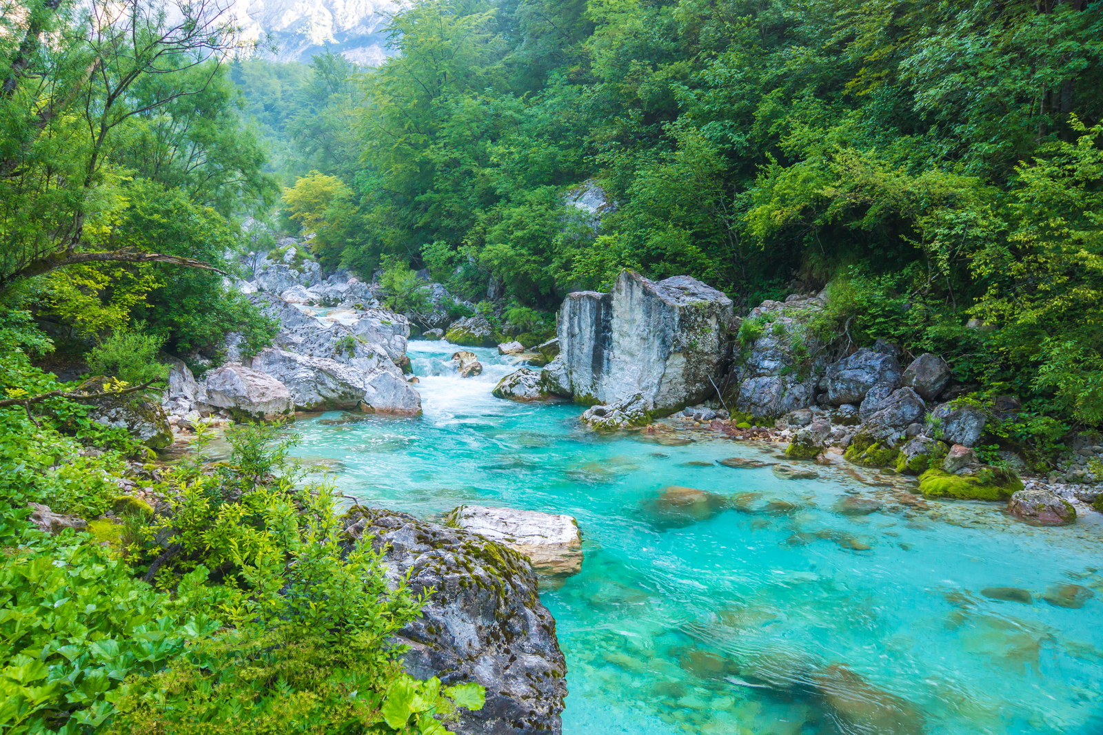Beautiful turquoise  river in the Triglav National Park in Slovenia.